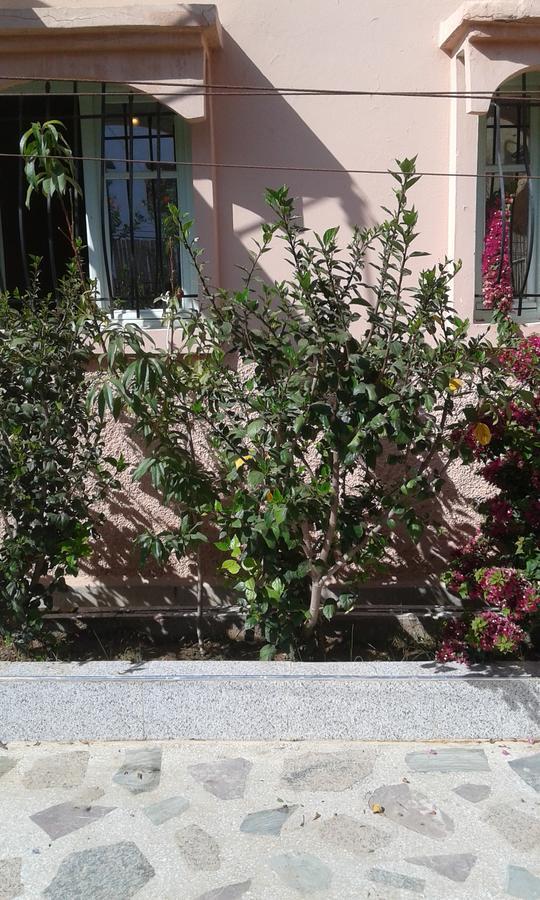 Adambeach Agadir Ngoại thất bức ảnh